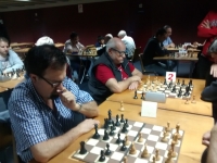 Torneo Rápido.
